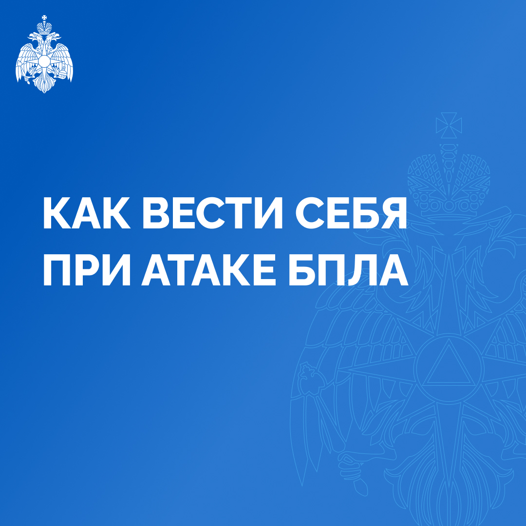 Изображение 0