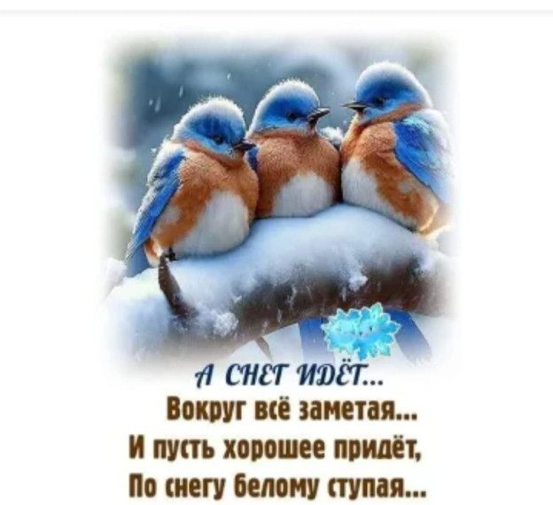 Экологическая акция.
